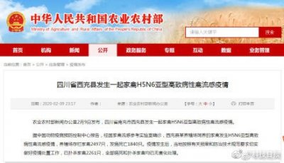 ​四川发生家禽H5N6亚型高致病性禽流感