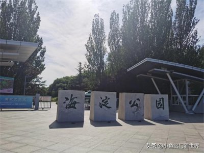 北京相亲角攻略(一)在哪里?