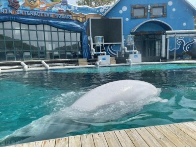 大连旅游景点大全,最值得打卡的22个大连旅游景点,一定要收藏!