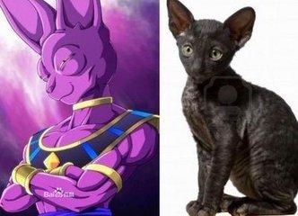 破坏神比鲁斯兄弟是谁（破坏神比鲁斯的现实原型）(2)