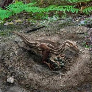 ​地球古生物——伤齿龙