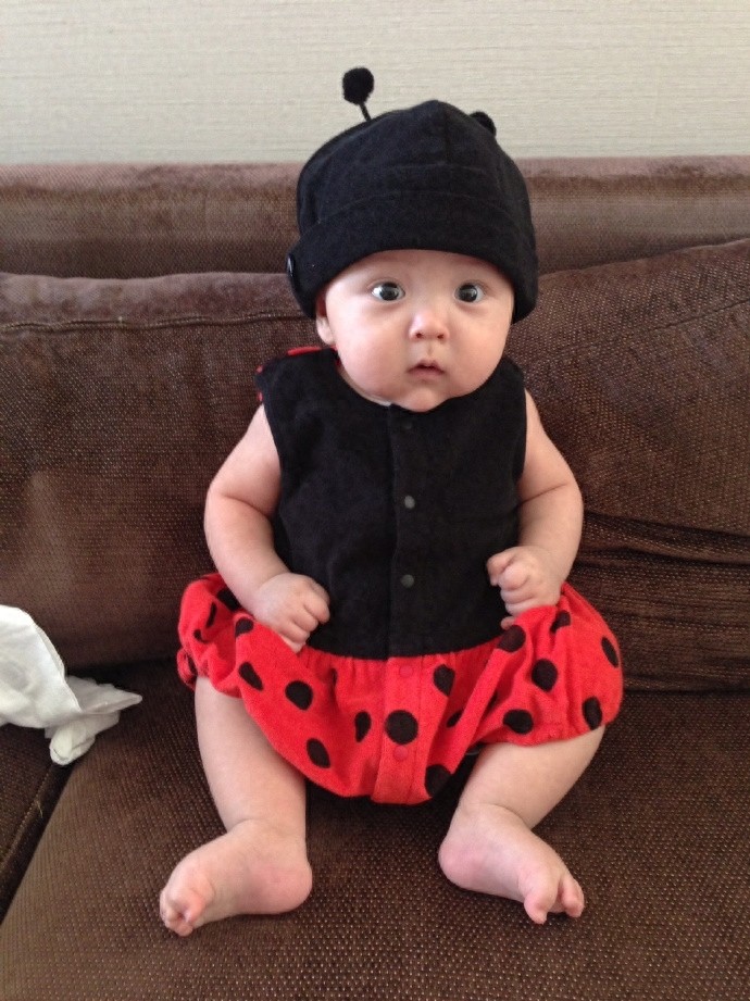 大麟子婴儿照大锦集，你能认出来吗？从小都是圆溜溜的大眼睛