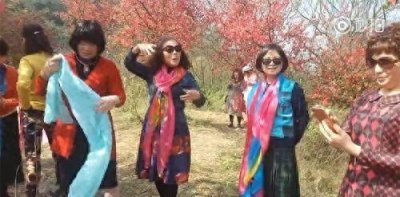 ​“阿姨带7条丝巾拍照”上了热搜！网友：没错，就是我妈