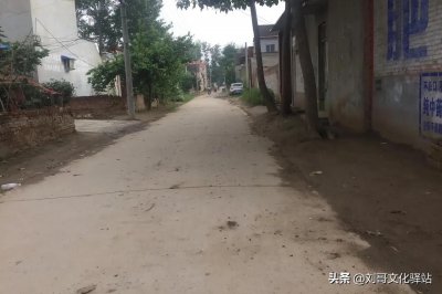 ​四种灵性动物不能放生（哪些灵性生物不可杀不可食）