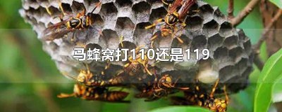 ​119给处理马蜂窝吗 拨打119处理马蜂窝收费吗