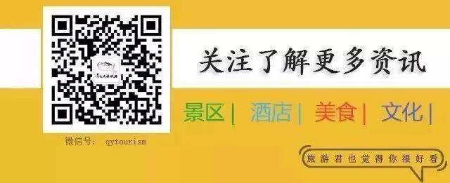 网红佛手天梯打卡地(打卡12项世界纪录)(57)