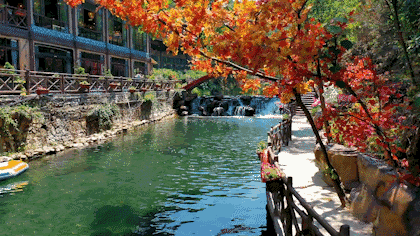 网红佛手天梯打卡地(打卡12项世界纪录)(12)