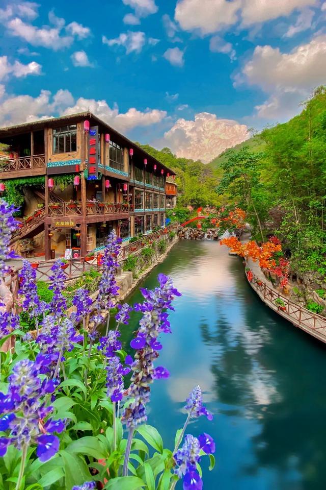 网红佛手天梯打卡地(打卡12项世界纪录)(15)