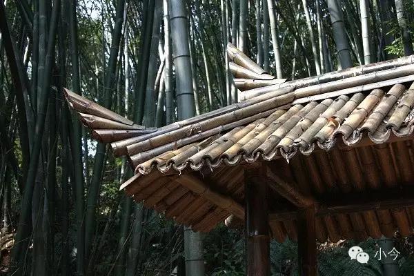 蜀南竹海旅游攻略自驾(如何一天内自驾玩转蜀南竹海)(8)