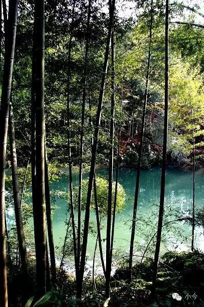 蜀南竹海旅游攻略自驾(如何一天内自驾玩转蜀南竹海)(20)