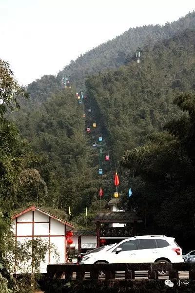 蜀南竹海旅游攻略自驾(如何一天内自驾玩转蜀南竹海)(3)