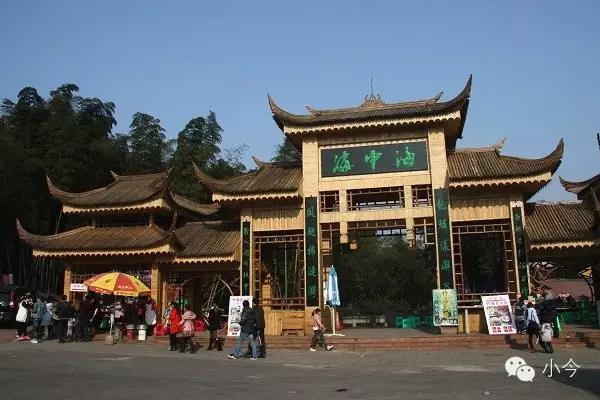 蜀南竹海旅游攻略自驾(如何一天内自驾玩转蜀南竹海)(17)