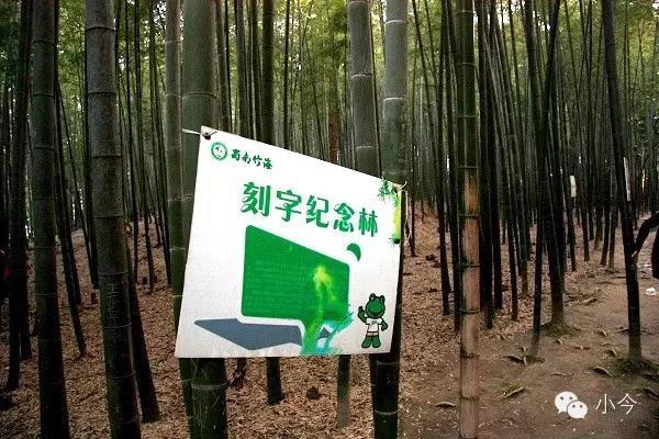 蜀南竹海旅游攻略自驾(如何一天内自驾玩转蜀南竹海)(37)