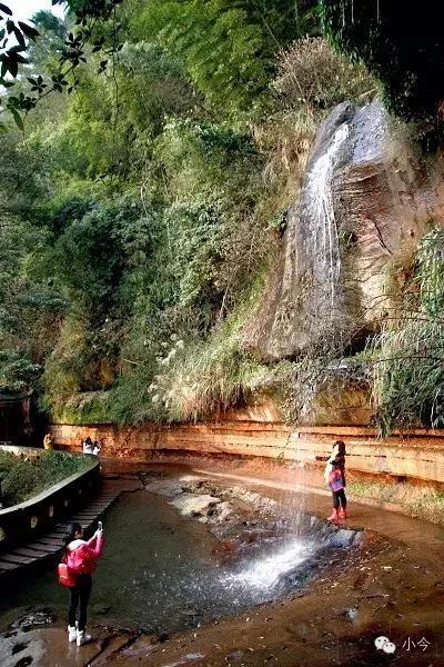 蜀南竹海旅游攻略自驾(如何一天内自驾玩转蜀南竹海)(29)