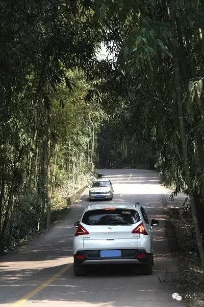 蜀南竹海旅游攻略自驾(如何一天内自驾玩转蜀南竹海)(2)