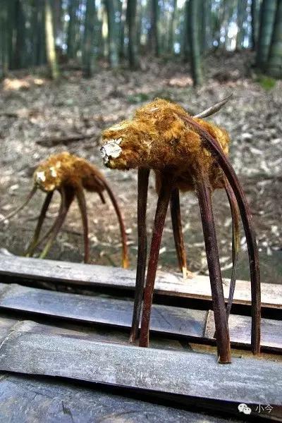 蜀南竹海旅游攻略自驾(如何一天内自驾玩转蜀南竹海)(38)