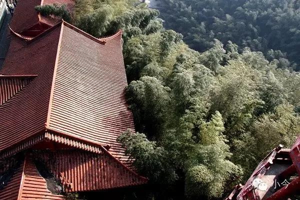 蜀南竹海旅游攻略自驾(如何一天内自驾玩转蜀南竹海)(5)