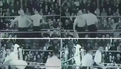 武林盟主争霸,太极宗师吴公仪,决战白鹤派掌门陈克夫