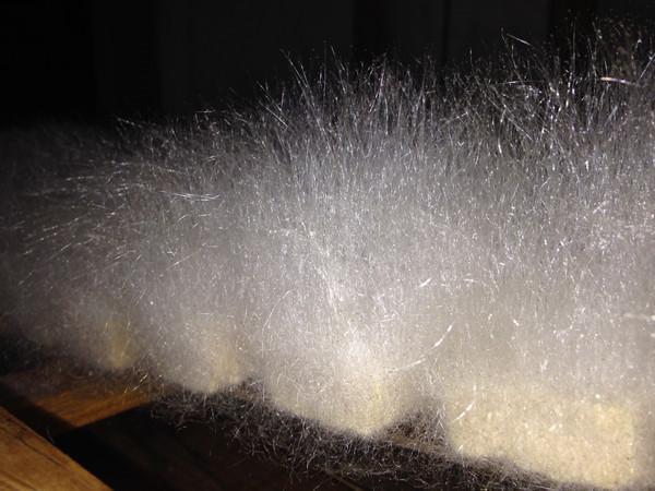 最简单的毛豆腐做法(他做的正宗安徽毛豆腐)(4)