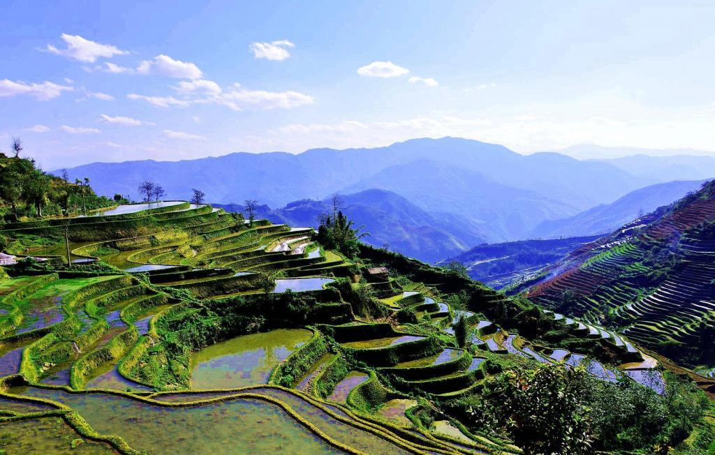 第五天:红河哈尼梯田