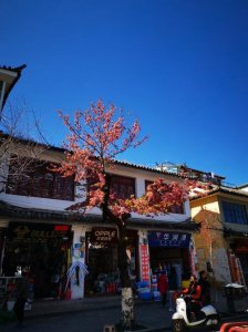 攻略五日游大理