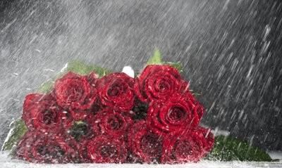 情人节短信祝福语,情人节祝福语送朋友简短图3