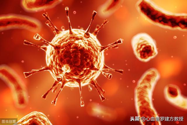 病毒性心肌炎能够自愈吗(小小感冒差点送了命)(3)