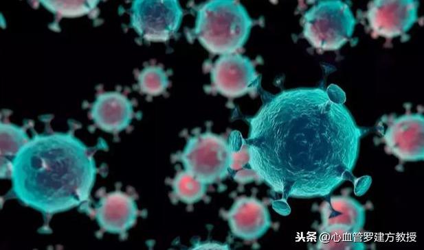 病毒性心肌炎能够自愈吗(小小感冒差点送了命)(4)