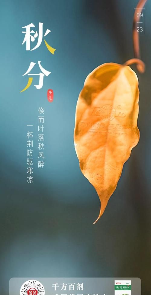 秋分月圆是什么生肖