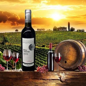 ​西班牙布衣葡萄酒(西班牙葡萄酒品牌前十名)