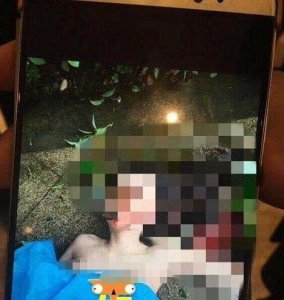 女星裸坠身亡,杨旭文还能洗清吗?