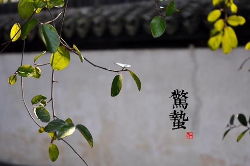 二十四节气申遗的意义