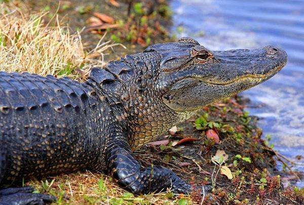 湖北鄂州的由来,湖北简称鄂的由来怎么读图6