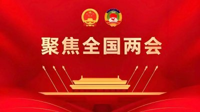 全国两会是什么会?这份知识带你快速了解!