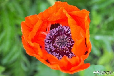 防止别人“借走”你的好运气,做到这三点,护好你的能量场