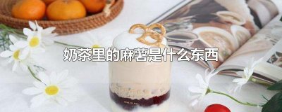 ​奶茶里的麻薯是什么东西
