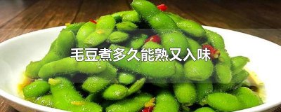 ​毛豆煮多久能熟又入味