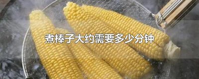 煮棒子大约需要多少分钟