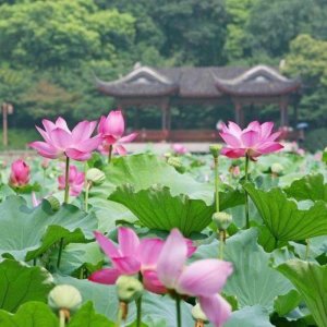 二婚女人下面干净吗,二婚女人有哪几个隐私