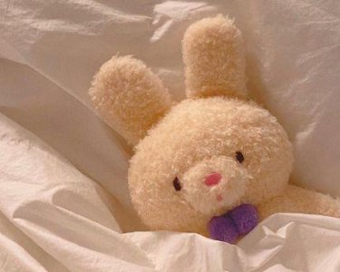 ​写背影的优美句子48句