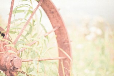 ​自己生日发朋友圈说说(146句)