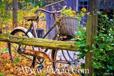 ​立秋的唯美文字简短描写立秋的唯美文字(精选74句)