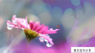 ​人生感悟的句子短句_精辟现实说透人生63句