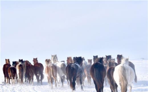 表达节日气氛的句子