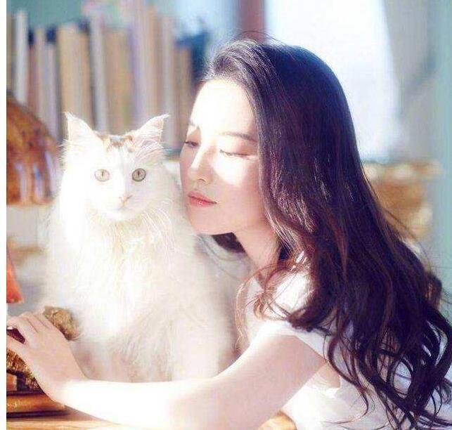 宋承宪承认已与刘亦菲分手结束异国恋, 网友: 与她有关?