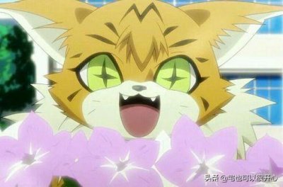 ​数码宝贝tri.-缅因猫兽不走邪恶进化路线，你还会喜欢它吗？