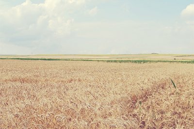 ​描写春天美景的词语80句