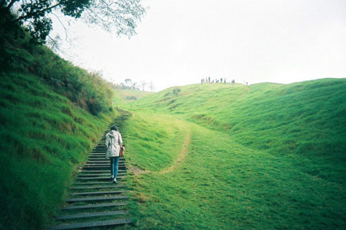 形容桃花盛开的句子 春天描写桃花优美句子(41句)