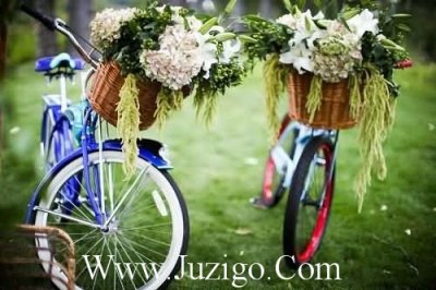 ​赞美友情的唯美句子友谊最暖心一段话(97句)