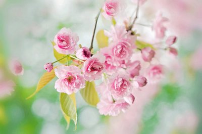 ​qq炫舞印象句子80句